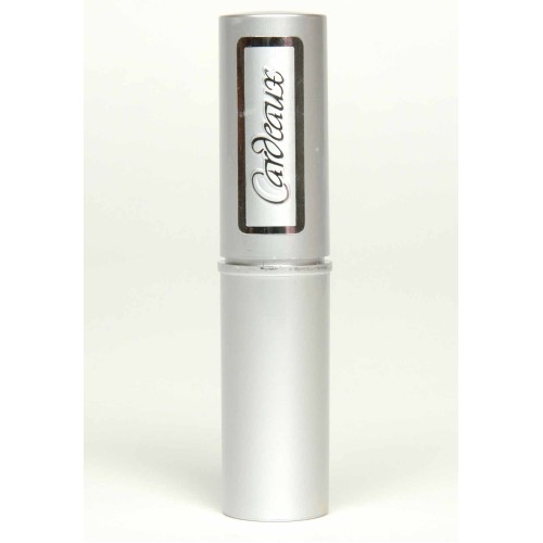 Rejuvenating Foundation Stick