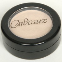 Eye Shadow Primer Eye Shadow Primer